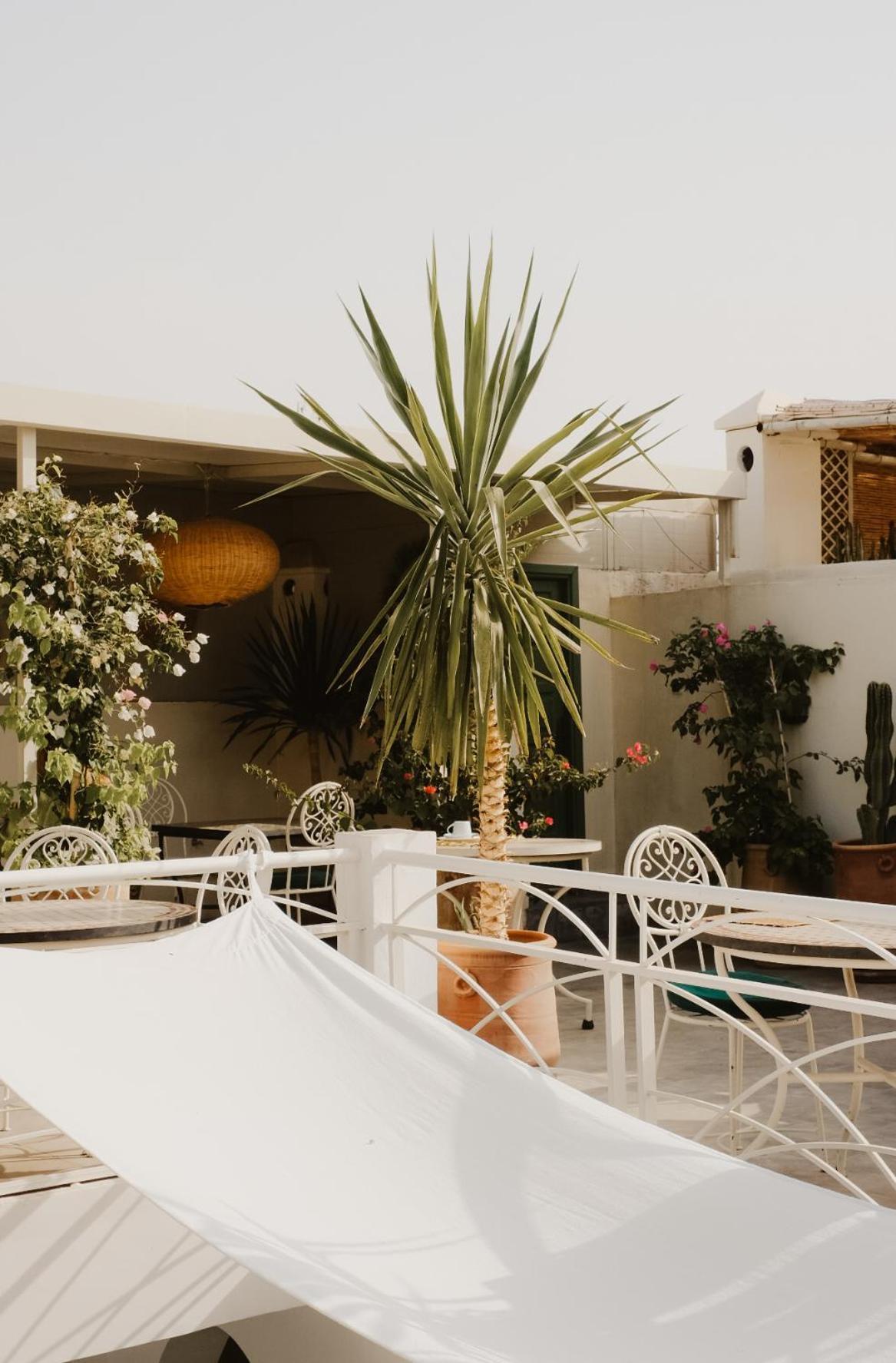 Riad Dar Blanche Marrakesch Exterior foto