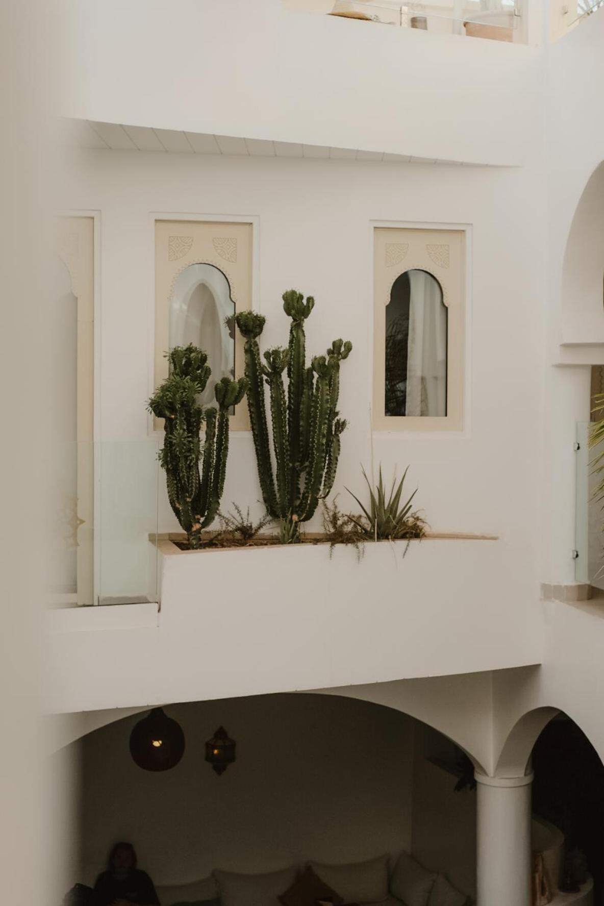 Riad Dar Blanche Marrakesch Exterior foto